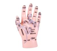 iplusmile Modèle Acupuncture Main PVC avec Points Réflexologie Clairement Marqués pour Formation Médecine Traditionnelle Chinoise et Massage