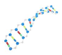 iplusmile Modèle Adn Double Hélice Composants Éducatifs Science pour Enseignement Biologie Chimie Collège
