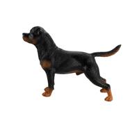 iplusmile Modèle Chien Rottweiler Plastique Solide Ornement Simulation Réaliste pour Éducation Garçon Fille Décoration et Stimulante