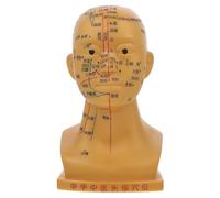 iplusmile Modèle D'acupuncture Démonstration des Méridiens et Points D'acupression en Pvc 20 Cm pour Tête Médicale pour Cours de Santé en Classe