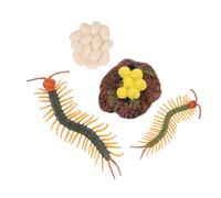 iplusmile Modèle de Cycle de Vie de Mille- Éducatif pour Garçon et Filles Figurine Réaliste d'Arthropode Accessoire d'Exposition pour École Jouet Scientifique 1 Ensemble