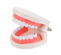 iplusmile Modèle de Dents pour Garçon Fille Aide Éducative Dentisterie Interactif pour les Soins Dentaires et la Communication Parent Garçon Fille