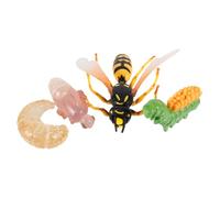 iplusmile Modèle De Simulation Et Modèle D'évolution De Guêpe 4 Pièces Garçon Et Filles Éducatif Cognition Apprentissage Cycle De Croissance pour Usage Domestique Et Scolaire