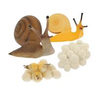 iplusmile Modèle Escargot Cycle de Vie Educatif Réaliste Plastique pour Garçon Fille Apprentissage Cognitif et Biologique