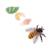 iplusmile Modèle Miniature De Croissance D’Abeille Éducatif pour Garçon Et Filles, Kit 4 Pièces en Plastique, Figurines Réalistes Cycle De Vie, Apprentissage Scientifique Et Jeu Pédagogique