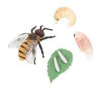 iplusmile Modèle Réaliste du Cycle de Vie de L'abeille en Plastique, Jouet Éducatif Cognitif pour Garçon et Filles, pour L'éducation Scientifique Décoration la Maison