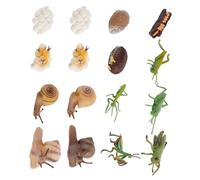 iplusmile Modèles D’Évolution Animale 16 Pièces en ABS Écologique Jeu Éducatif pour Garçon et Filles Figurines Réalistes Cycle de Vie Animaux Couleurs Aléatoires Couleur
