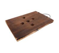 iplusmile Panneau en Suspendu pour Plantes Grimpantes Décoration Intérieure Plaque en Massif Solution de Jardinage Vertical Ajoute Verdure à Votre Espace