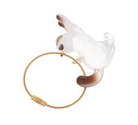 iplusmile Porte-Clés Transparent pour Poils de Chat Boîte de Rangement Compacte et Légère de Capsule Souvenir Commémoratif pour Animaux Flacon Pratique pour Collection de Poils