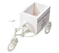 iplusmile Porte-Fleurs Vélo Décoratif Blanc, Support Multifonction Moyen pour Bureau et Mariage, Seau Créatif pour Pot de Fleurs et Porte-Stylo, Décoration Artisanale et Centre de Table