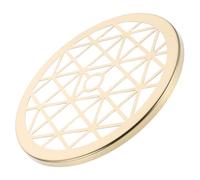 iplusmile Support Floral en Métal Rond 12 CM Grille Fixe Réutilisable pour Bouquets Centres de Table Décorations de Mariage et Fêtes Outil D’Organisation Solide et Résistant à la