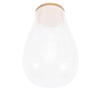 iplusmile Terrarium Écologique en Verre pour Bryophytes - Station De Propagation Hydroponique Intérieure - Bouteille 20x14 Cm Bouchon en Bois - Contenant pour Plantes D’intérieur Décoratives