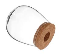 iplusmile Vase en Verre Hydroponique Élégant pour Propagation de Plantes D’intérieur, Compact et Transparent, pour Bureau et Décoration de Verdure