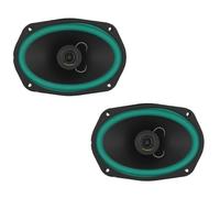IPNOSIS Paire d'enceintes ovales 16,4 x 23,5 cm (6 x 9), 4 ohms, puissance maximale 240 W, Woofer audio professionnel IP-01169
