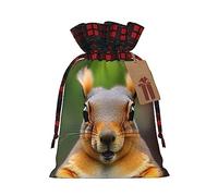 IPPONGET Sacs d'emballage de Noël avec imprimé animal amusant écureuil, sacs cadeaux festifs pour collègues, mariages, fêtes, etc