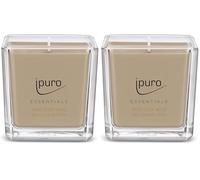 ipuro - Bois de cèdre décoratif - Bougies parfumées minimalistes et épurées dans un verre - Intense avec des notes boisées et épicées - Bougie élégante de 125 g (Lot de 2)