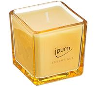 ipuro - Bougie parfumée décorative Ipuro douce à la vanille - Bougies parfumées minimalistes et épurées dans un verre - Bougies parfumées intenses à la vanille fine de Madagascar - Bougie élégante 125