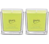 ipuro - Bougie parfumée décorative Ipuro lime light - Bougies parfumées minimalistes et épurées dans un verre - Bougies parfumées intenses avec des notes pétillantes et florales - Bougie élégante de