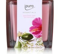 ipuro Duftkerze Bol à fleurs rosa Bol à fleurs