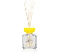 ipuro Essentials Lively Rome diffuseur d'huiles essentielles 100 ml