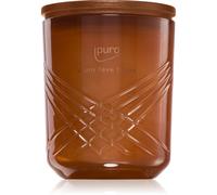 ipuro Exclusive Fève Tonka bougie parfumée 270 g