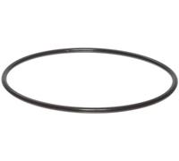 IPW Industries Inc. Joint torique de 14 cm pour système de filtre à eau AO-WH-LG-OR pour toute la maison et purificateur d'eau, grand joint torique pour boîtiers de filtre à eau de 4,5 pouces