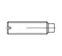 IQS DIN 417 Vis à pointeau avec ergot et fente, 14H M8x10 HP Quantité:100