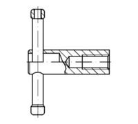 IQS DIN 6307 Rotule, 5 brunie M12 HP Quantité:1