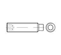 IQS ISO 4028 Vis à pointeau avec ergot et empreinte hexagonale creuse, inox A1/A2 M8x40 HP Quantité:100
