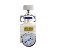 IR2010-02BG 10 pièces et MHE2-MS1H-3/2G-M7 6 pièces
