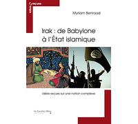 Irak : de Babylone à l Etat islamique: Idées reçues sur une nation complexe