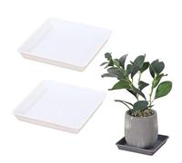 IRCKONCI Lot de 2 soucoupes carrées pour pot de fleurs, plateau d'arrosage décoratif, pour chambre d'enfant, serre, rebord de fenêtre, jardinage (blanc)