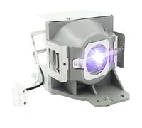 iReijomoi Lampe de rechange MC.JFZ11.001 RLC-079 avec boîtier pour projecteur Acer H6510BD, pour projecteurs VIEWSONIC PJD7820HD PJD7822HDL