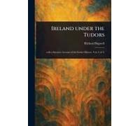 Ireland Under The Tudors