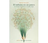 Irene Vallejo El infinito en un junco (Poche)