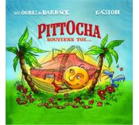Irfan Le Label Pitt Ocha - Souviens toi...