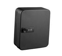 IRFHDCX Boite À Clé Sécurisée Boîte À Clés De Sécurité avec Codes, Montage Mural, Gain Place, Armoire en Fer, Support Organisateur, for Bureau Et Voiture(Black 36 Hook)