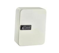 IRFHDCX Boite À Clé Sécurisée Boîte À Clés De Sécurité avec Codes, Montage Mural, Gain Place, Armoire en Fer, Support Organisateur, for Bureau Et Voiture(White 48 Hook)