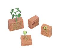 Irfora Cycle de Croissance Précis des Plantes, Jouet éducatif, Détails Réalistes pour Enfants, Apprentissage Scolaire Amusant, Ensemble de Modèles Graines en Plastique pour Garçons et Filles 4 Ans