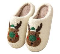 IRGVJIFR Chausson Hiver Pantoufles d'hiver for femmes et hommes, sandales d'intérieur chaudes douces, claquettes en polaire, cadeau de Noël, maison(Color 05,40-41)