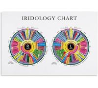 Iridology Poster Iris Analysis Education Decor | Learn eye patterns revealing health conditions(Magnetic,08x12inch(20x30cm))