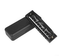 IRIN Harmonica à 10 trous en Do - Orgue trémolo avec plaques de recouvrement en acier inoxydable, corps en résine de qualité comestible pour débutants (noir)