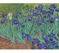 Iris de Vincent van Gogh. Vincent van Gogh 1853 - 1890 Artiste néerlandais post-impressionniste. Irises a été peint en 1889 alors que van Gogh était à l'asile à Saint-R my-de-Provence. L'œuvre est
