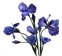 Iris Lot de 2 fleurs artificielles à longue tige pour arrangement de fleurs de mariage, décoration de bouquet de mariage (tissu B-bleu marine)