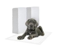 Iris Ohyama, Alaise pour Chien, Alèse Jetable 59x44 Tapis Educateur pour Chiot, Apprentissage de la Propreté, 5 Couches de Protection Anti-Fuite et Résistante (100 Pièces) - Pet Pad NS-100W