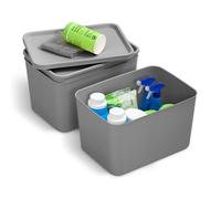 Iris Ohyama, Boites de Rangement dressing plastique, 22L, Lot de 3, Gris, SNL-MD