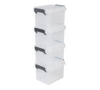 Iris Ohyama, Petites Boîtes de Rangement plastique, 2L, Lot de 4, Noir, DDMBX-2
