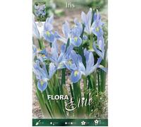 IRIS RETICULATA BLUE PLANET CONFEZIONE DA 10 BULBI AUTUNNALI BULBS