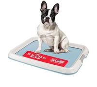 Iris USA - Plateau de propreté pour Petits Chiens et Chiots, à verrous, Pieds antidérapants, Finition polie pour Un Nettoyage Facile, Anti-fuites, 43,2 x 58,4 cm, Bleu