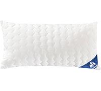 IRISETTE Badenia Comfort, Coussin Merino Lavage, 80 x 80 cm, Blanc